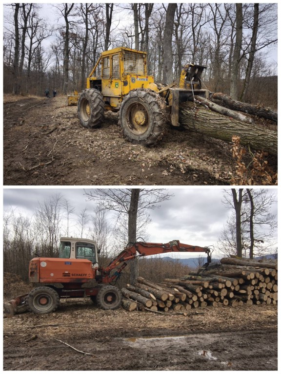 A fakitermelő gépek most éppen pihennek