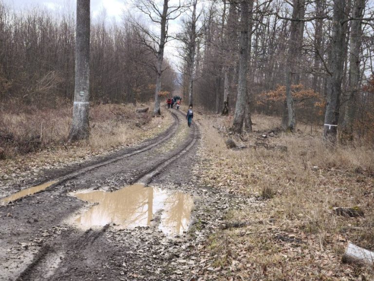 Erdei út az "elmaradhatatlan" sárral