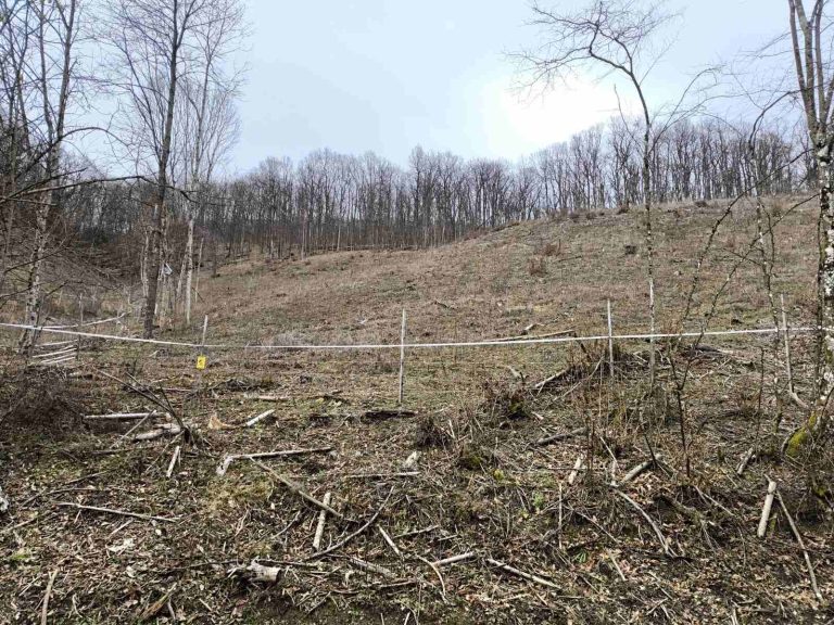 Kerítés jutott mára is - ezt szerencsére nem kellett átmászni vagy megkerülni