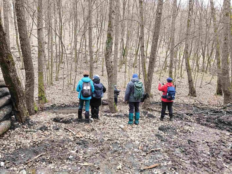 Nem büntetésben vannak hanem a patakpartot kémlelik