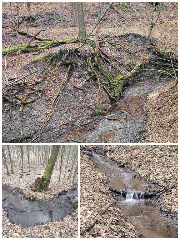 Kanyarog a Vörös-kő-patak