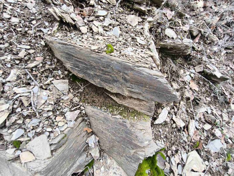 A palás rétegződés közelebbről