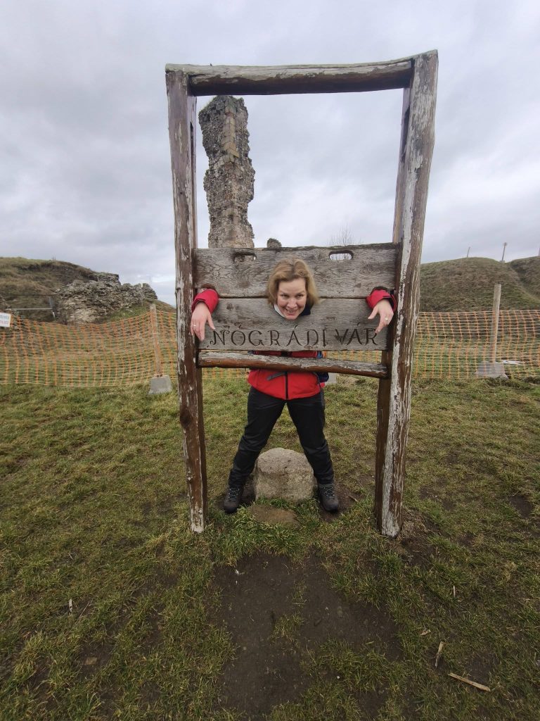 Vajon mit követhetett el?