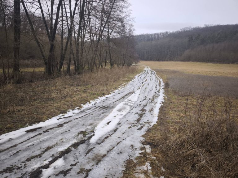 A havas út fehér csíkja feltűnő a sárgásbarna talaj mellett