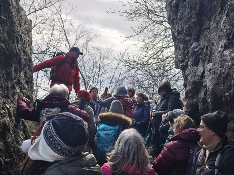 Mester és tanítványai