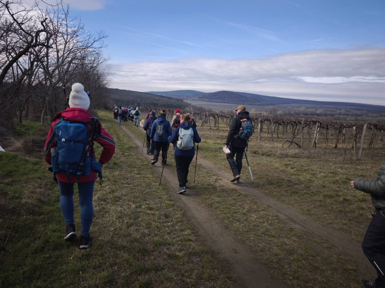 Szőlők mellett visz az út