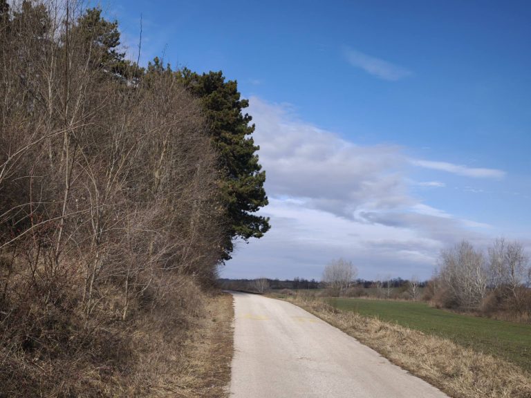 Kerékpárút a Velencei tó körül